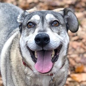 Meet your Posher, Bethany